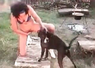 Tiny black doggo is having an incredible animal sex session