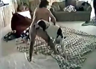 Eelgant girl and messy hound having sex
