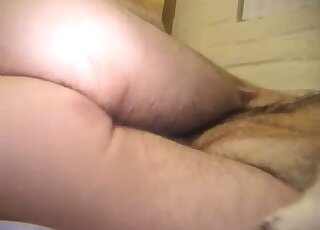 Sexy doggy eating her wide-opened cunt