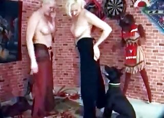 Blondes with big tits fucked by labrador