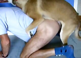 Kinky person gets some ass eating action from a horny dog