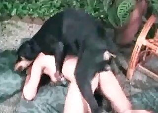Black dog nicely pounds her tight wet cunt