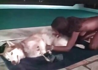 Poolside blowjob for a very hung dog