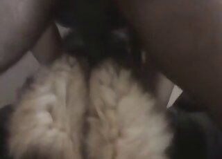 Dog sniffs and licks my ass rack on cam