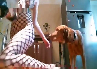 Fishnet bodysuit babe and her dog