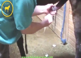 Hot beast showing off with a nice dick dangling