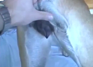 Dane pussy is going to get fucked from behind