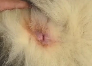 Sexy creature is going to get fingered and more