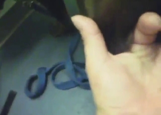 Good-looking and furry beast fucked from behind