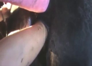 Stallion featured in a really hot zoophilic vid