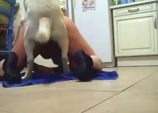 Dude is going to service a dog on all fours too