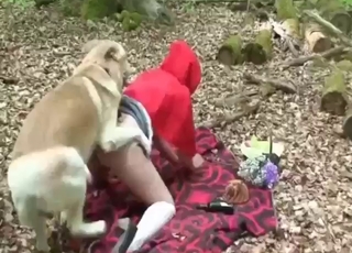 Dog is going to torment Red Riding Hood's hole