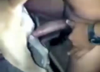 Handyman's cock destroys a dog's wet pussy