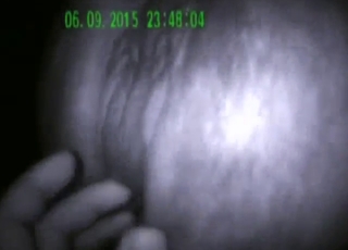 Mare's wet vag is going to be pleased hard