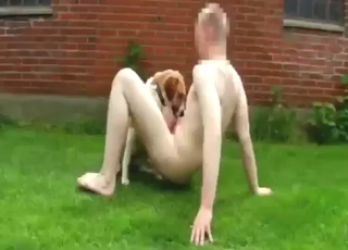 Garden of Eden for this pale gay dude, his dog