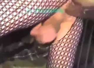 Horned-up zoophile is going to enjoy horse sex