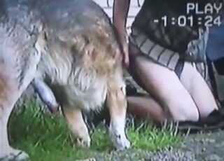 Outdoor sex scene with a guy taking dog anally
