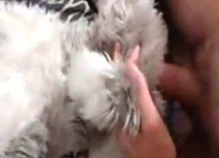 Fucking that husky gets him all throbbing