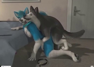 Deep and hot doggystyle fuck with two dogs