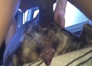 Anal fuck scene with a hot ejaculation finally