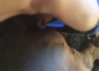 Dude is going to fuck that horse up for real