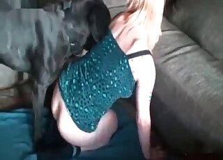 Good doggy licking and fucking her twat