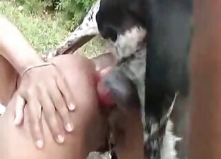 Doggy's dick nicely sucked by a horny Latina zoofil