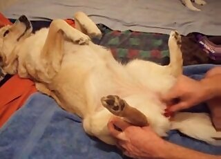 Preparing my doggy for nasty bestiality XXX