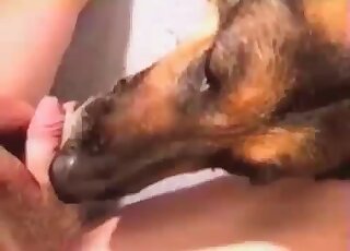 Sticking my wiener in doggy tight ass