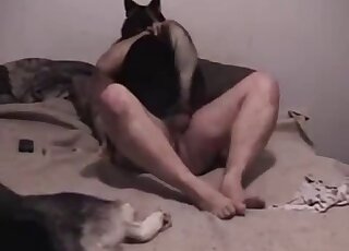 Dog rides on a boner in cowgirl pose